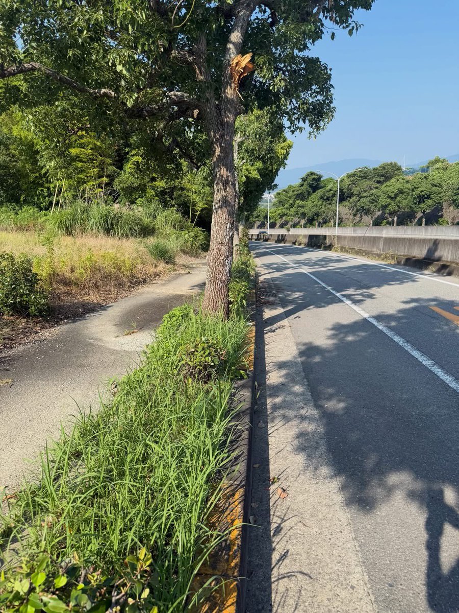 fumitaka1995's tweet photo. 歩道を塞いでいた折れた街路樹について、迅速にご対応いただきました。ご相談いただいた地域の方にも感謝いたします！ご対応いただき誠にありがとうございました。 https://t.co/NKvNSgGELB