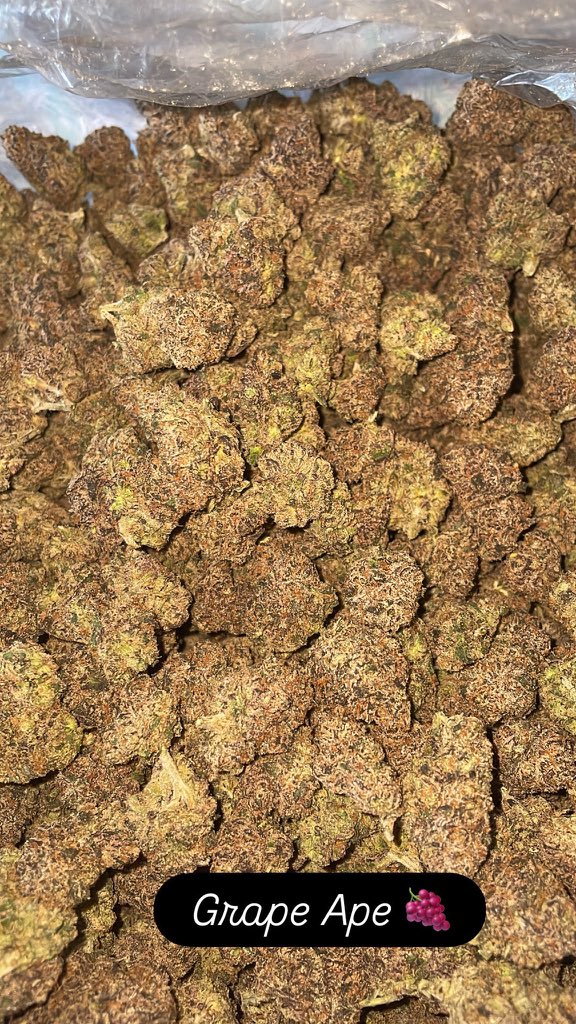 kik_legit420's tweet photo. #Texasplug
#Utahplug
#Vermontplug
#Virginiaplug
#Washingtonplug
#WestVirginiaplug
#Wisconsinplug
#Wyomingplug https://t.co/CHWO7EEJu4