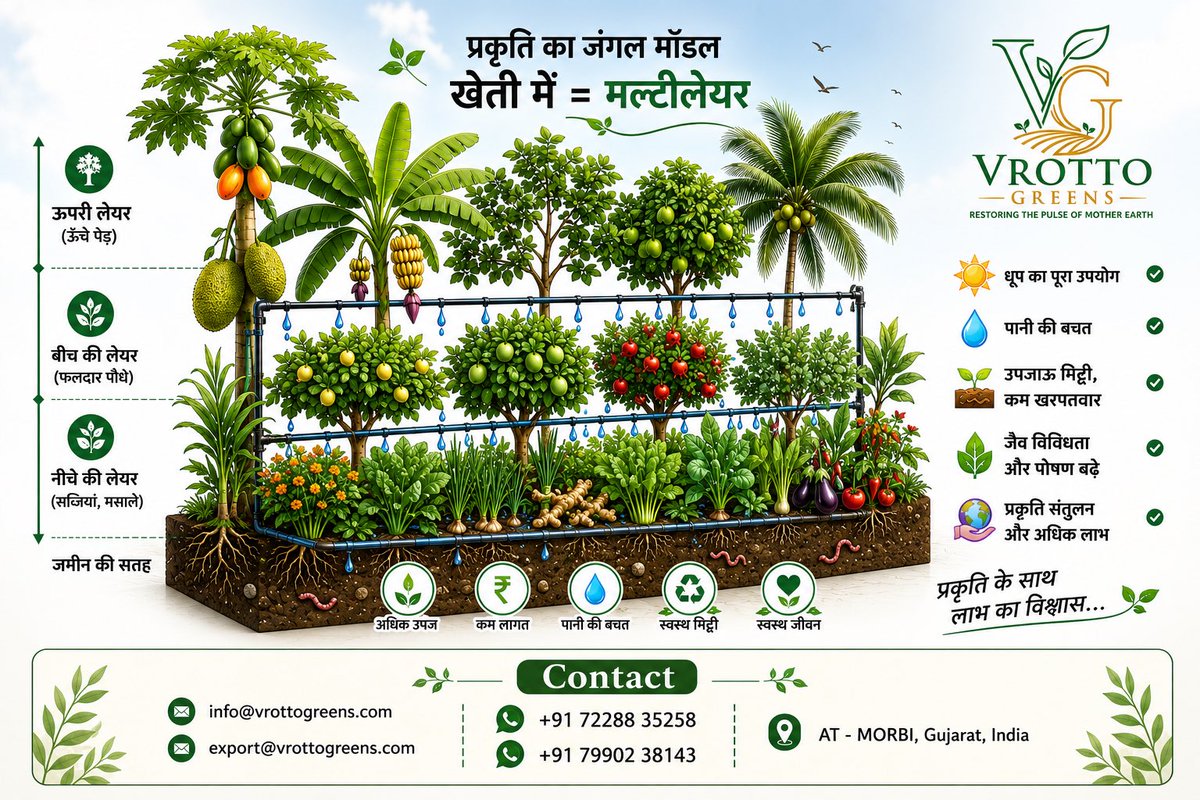 VROTTOGREENS's tweet photo. #vermicompost https://t.co/XFXB2saVGQ