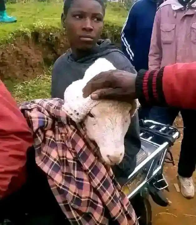 EchoMansang's tweet photo. Hii kenya naona wezi wameanza kuwa smart sana buana, huyu tumekamata yeye hapa akibeba mtoto hosii😂 https://t.co/m7rH0fSmKL