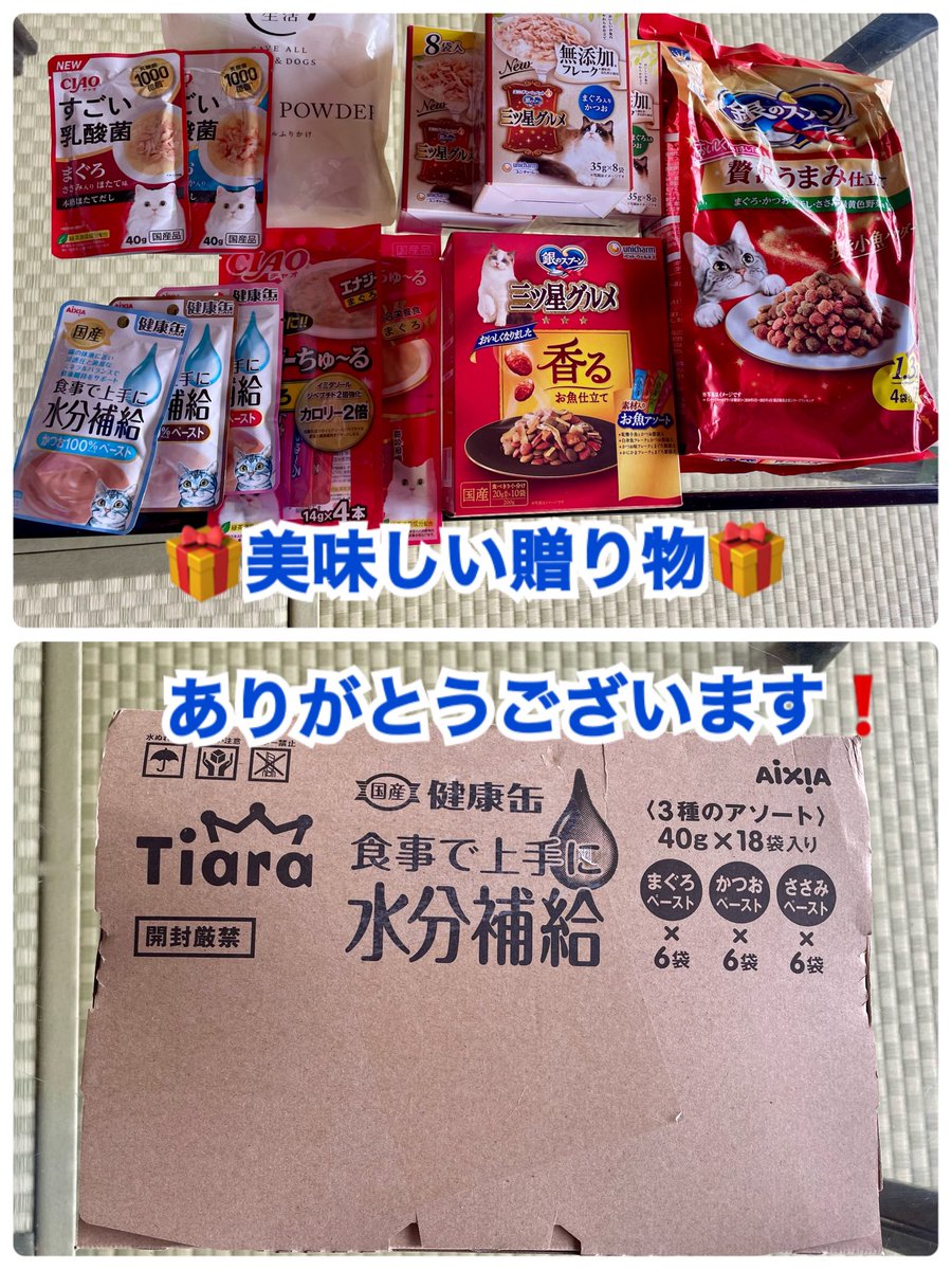 ainoshimacats's tweet photo. 島内ボラKさん😸早朝まだ涼しい時間帯に、全域12箇所の餌場回ってくださって居ますが…今日は暑かった…と💦💦💦
うみくん😸
水分補給パウチのおやつを食べた後は、車の下へ…うみくん！と呼ぶと振り返ります🐈‍⬛

ご支援フードありがとうございます🙇

#相島
#相島の猫たちの為の活動
#コミュ猫相島 https://t.co/JzzjSt6Lp2