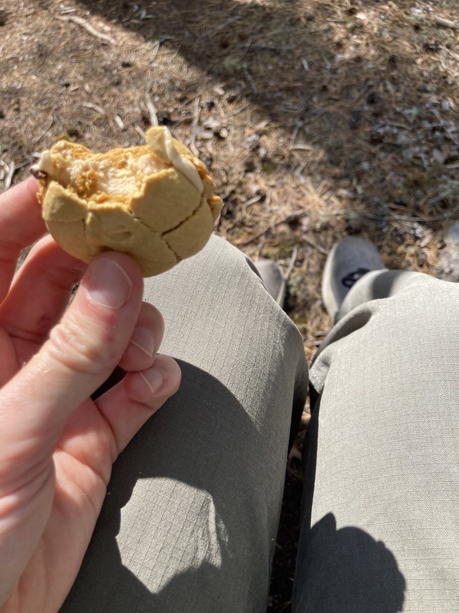 RoyalFlowTrader's tweet photo. @notprofgreen Did manage to forage a macaron though 😀 https://t.co/e86bB4ZuIG