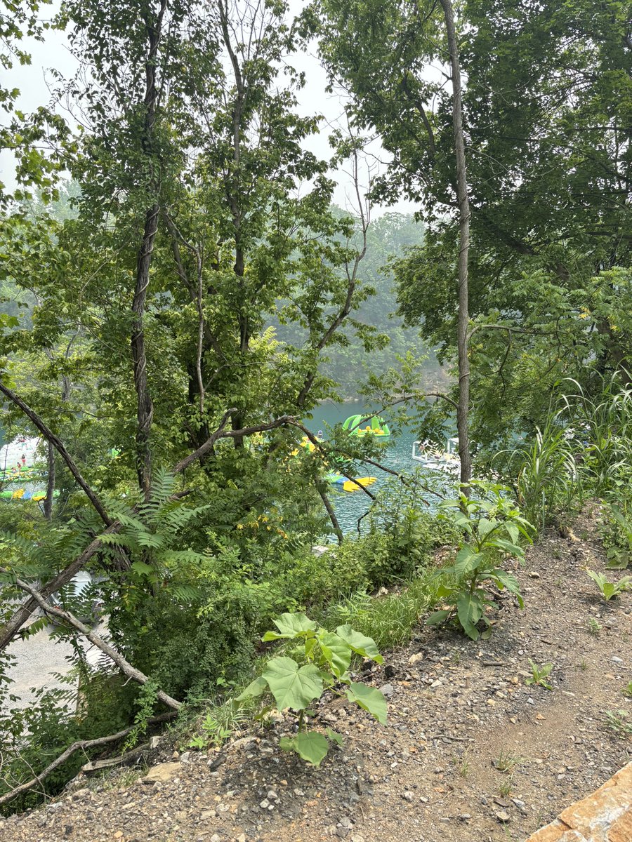 eliaventador's tweet photo. Been enjoying nature a lot recently https://t.co/mEvSjtdOED