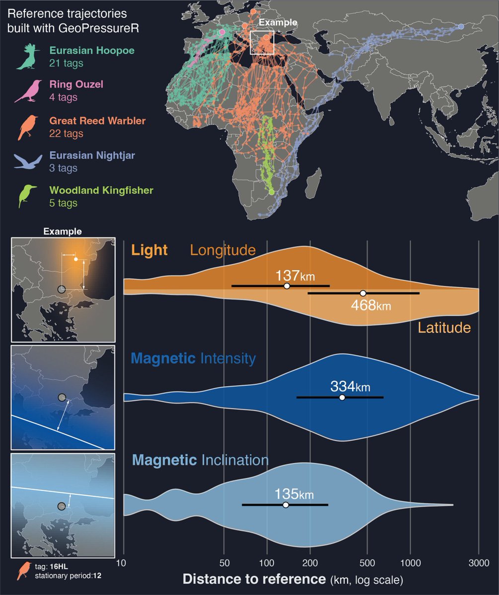 MethodsEcolEvol's tweet photo. 📖 Published📖 

Magnetic geolocation is a viable complementary tool for tracking small avian species, particularly in contexts where pressure-based methods cannot be used🐦️ 🌏️ 🧪 

https://t.co/NkS2E8jrMQ https://t.co/mJEBVoGMHn