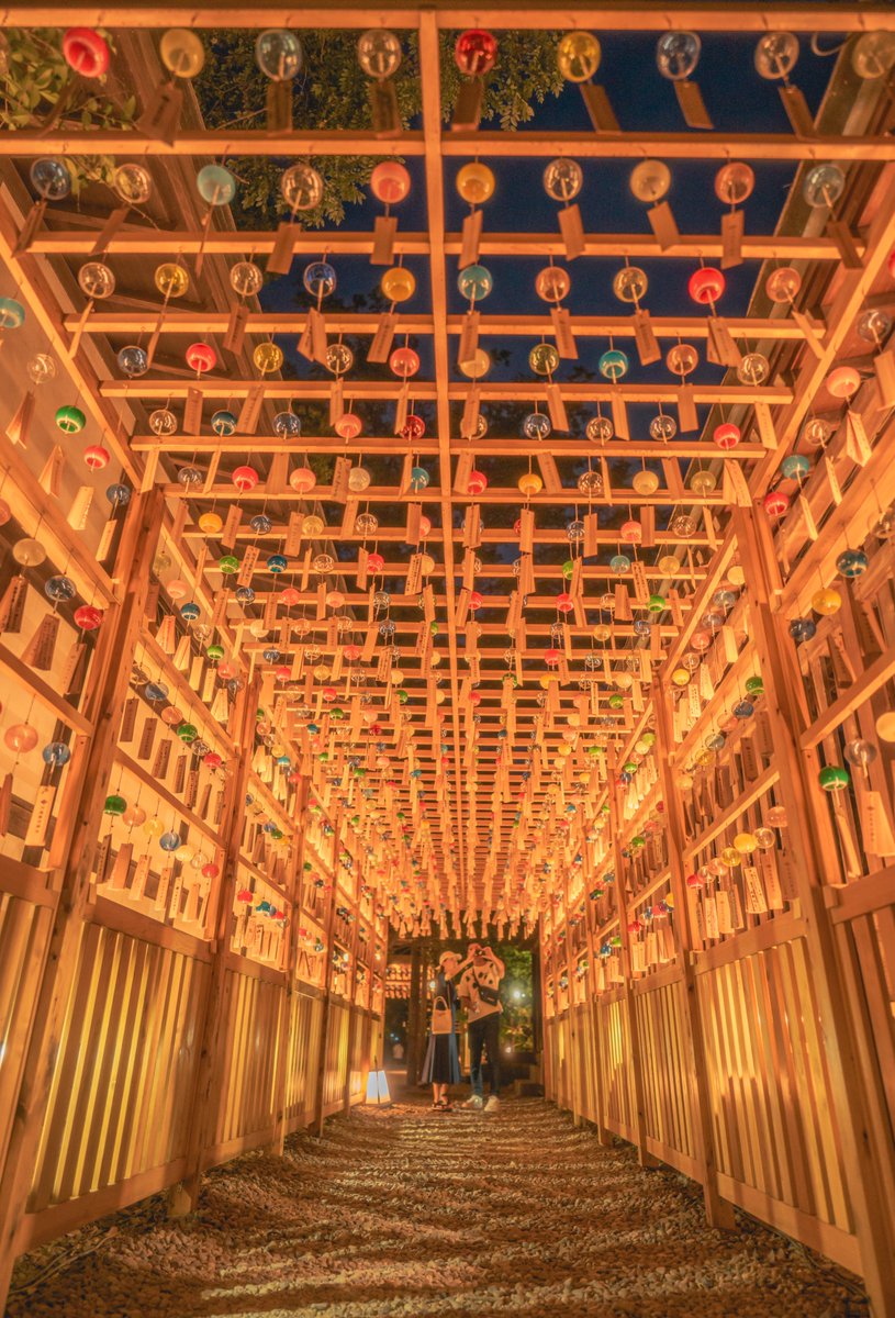 capitavolcom's tweet photo. 風鈴が織りなす涼音の彼方へ
（川越氷川神社縁結び風鈴）

#ファインダー越しの私の世界
#猫好きさんと繋がりたい                     
#写真好きな人と繋がりたい
#キリトリセカイ https://t.co/SbcZFnwRYV
