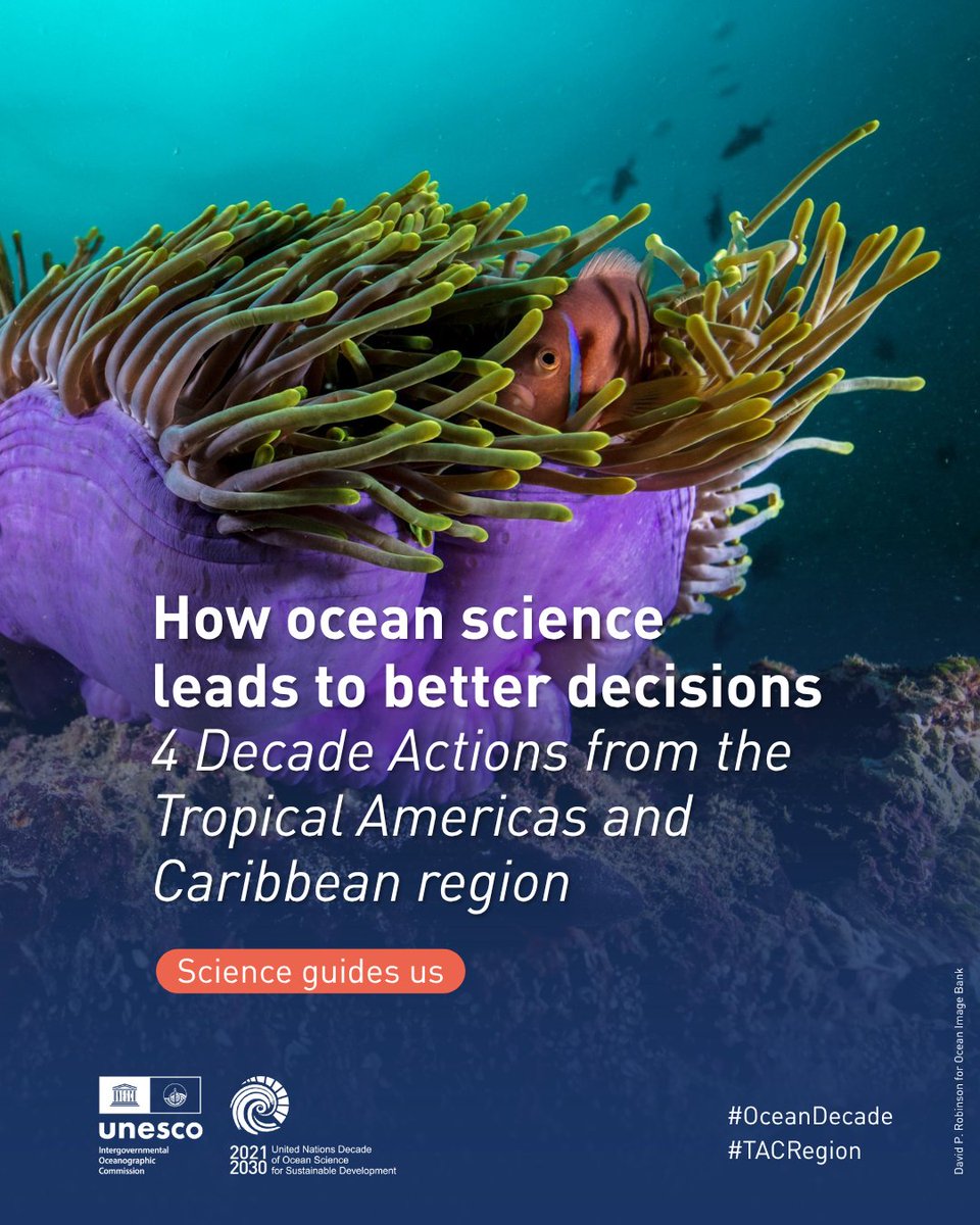 UNOceanDecade's tweet photo. Across Latin America, scientists, communities and policymakers work together to ensure that ocean action is rooted in science.
Discover 4 #OceanDecade Actions that advance ocean monitoring, early warning systems, and environmental resilience: https://t.co/pTzQIhbWb4
#TACRegion https://t.co/aOCNv78CSV