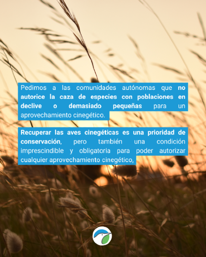 SEO_BirdLife's tweet photo. El declive de las aves no tiene una causa única ni podemos atribuirlo a la caza. Hay otros muchos factores que inciden en sus hábitats. 

Conoce el estado de las aves y nuestras recomendaciones 👉 https://t.co/vQYhT52mgf https://t.co/qYzP0SvqO8