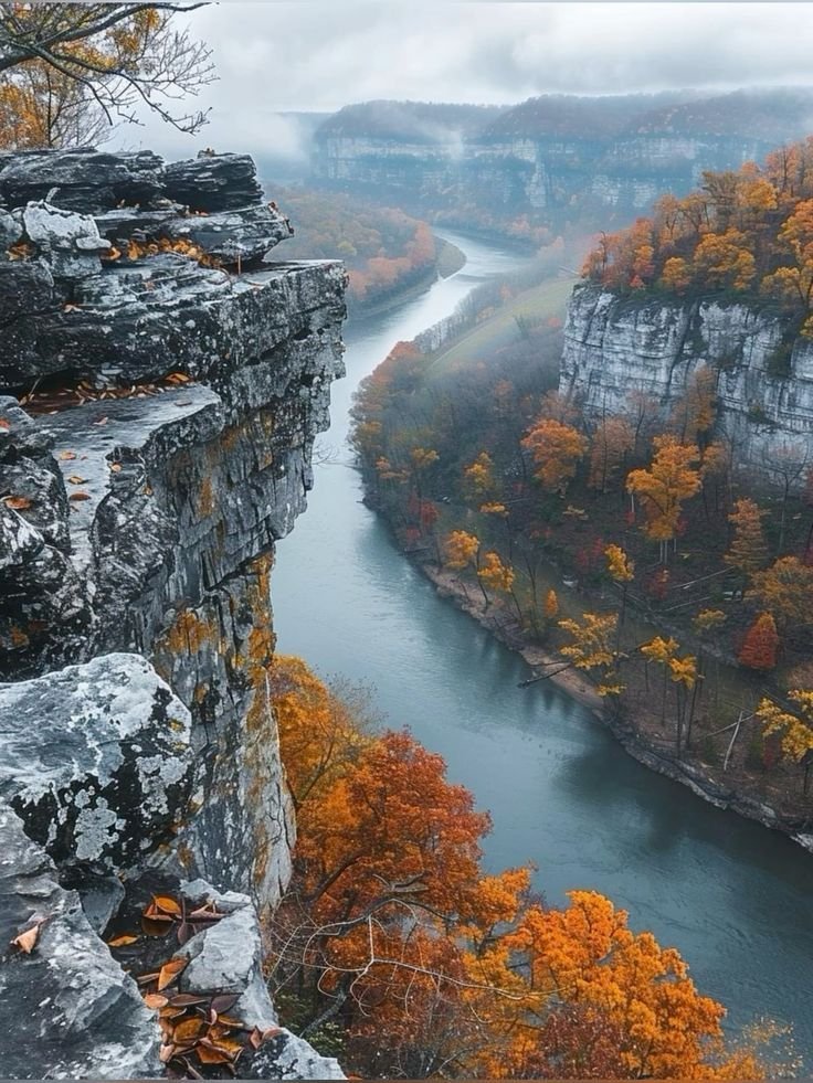 natureinspai45's tweet photo. Cumberland Gap, Kentucky 🇺🇸 https://t.co/bRNDNu1MkK