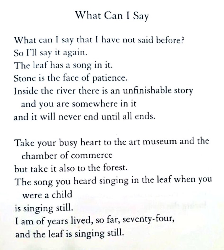 Anomali210830's tweet photo. Mary Oliver

and the leaf is singing still https://t.co/d63YXhoiOE