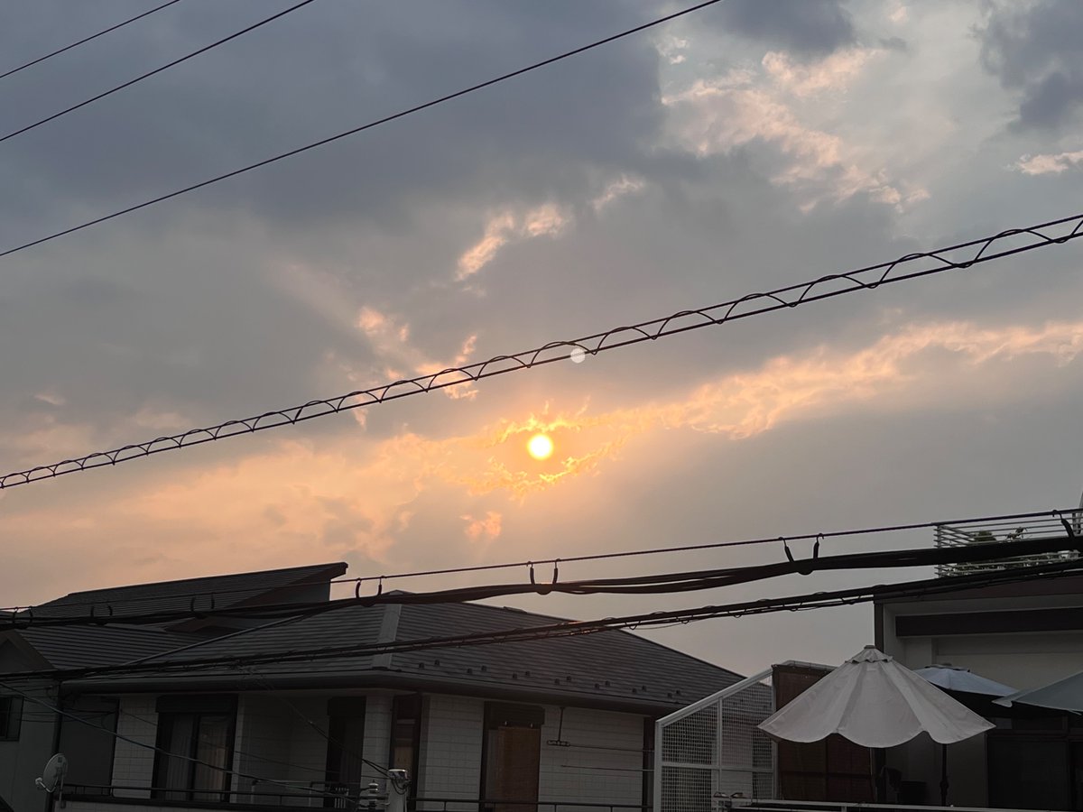 Comugi5na2's tweet photo. 視線感じるなーって思ったらめっちゃ見られてた https://t.co/nMMZGQWsI7