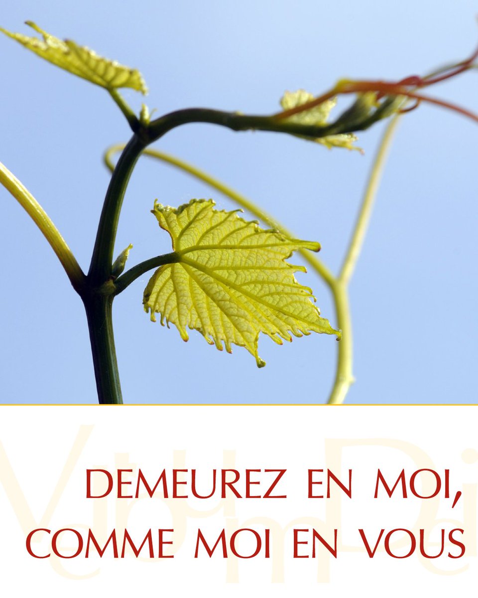 vaticannews_fr's tweet photo. 📜 Évangile du jour | Jeudi 23 juillet
(Mt 13, 10-17)

« À vous il est donné de connaître les mystères du royaume des Cieux, mais ce n’est pas donné à ceux-là. » 
→ https://t.co/TPZADSzmWN https://t.co/puj5VUoXGl