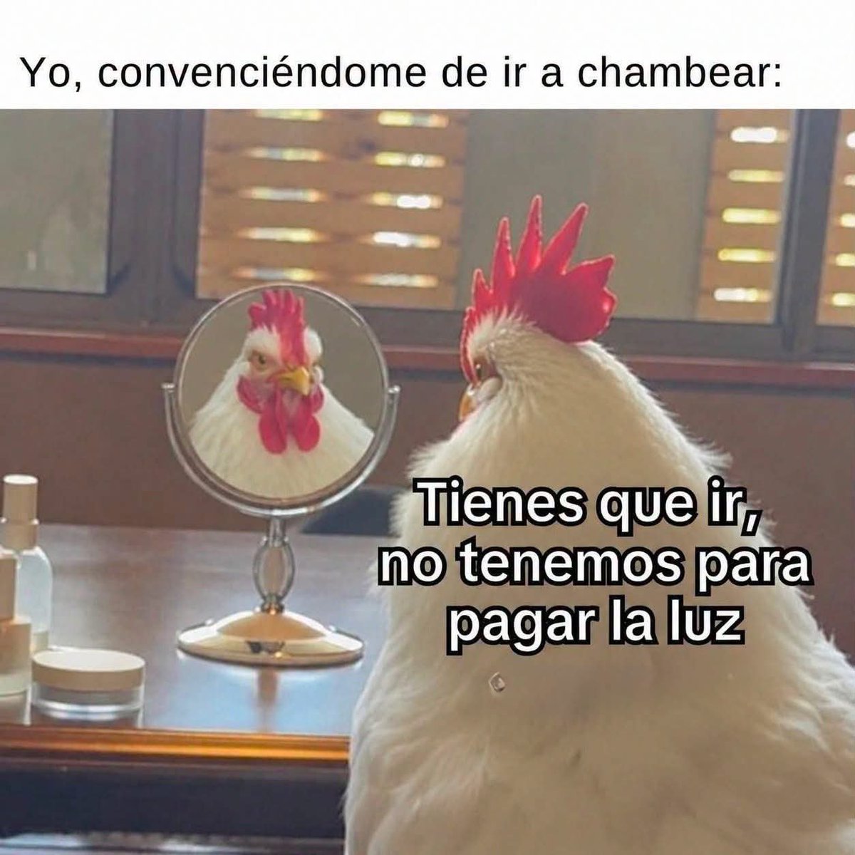 MsCiencia2's tweet photo. XD https://t.co/XRlaogAwlW