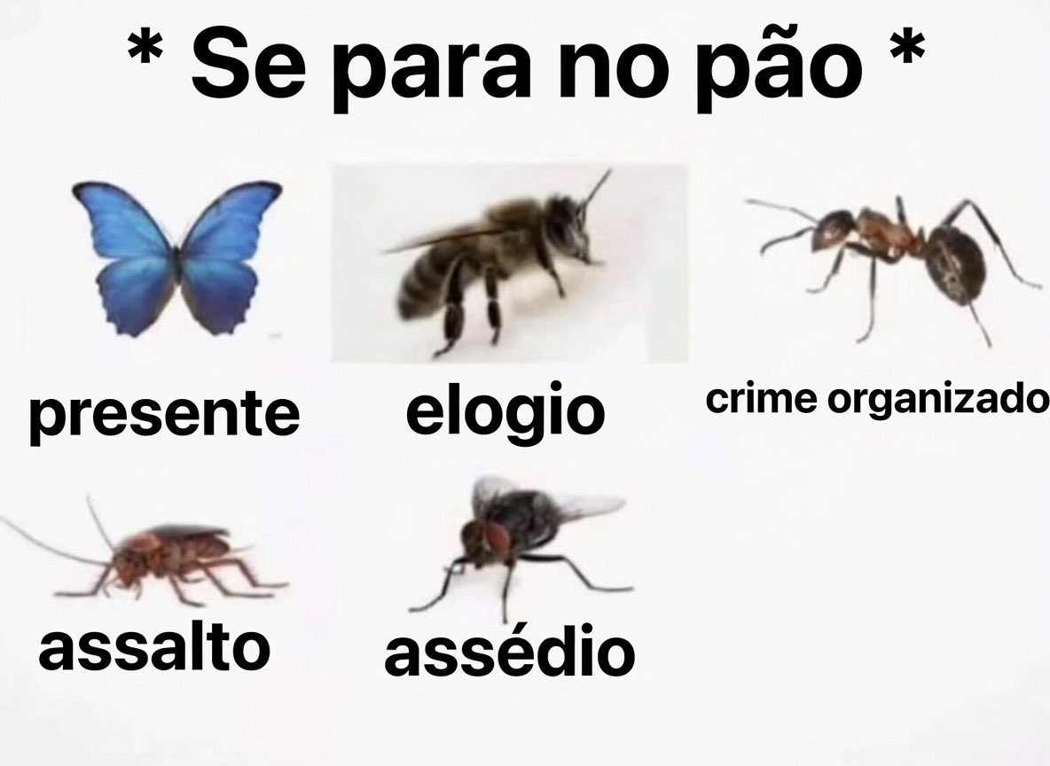 memes inteligentes tweet media