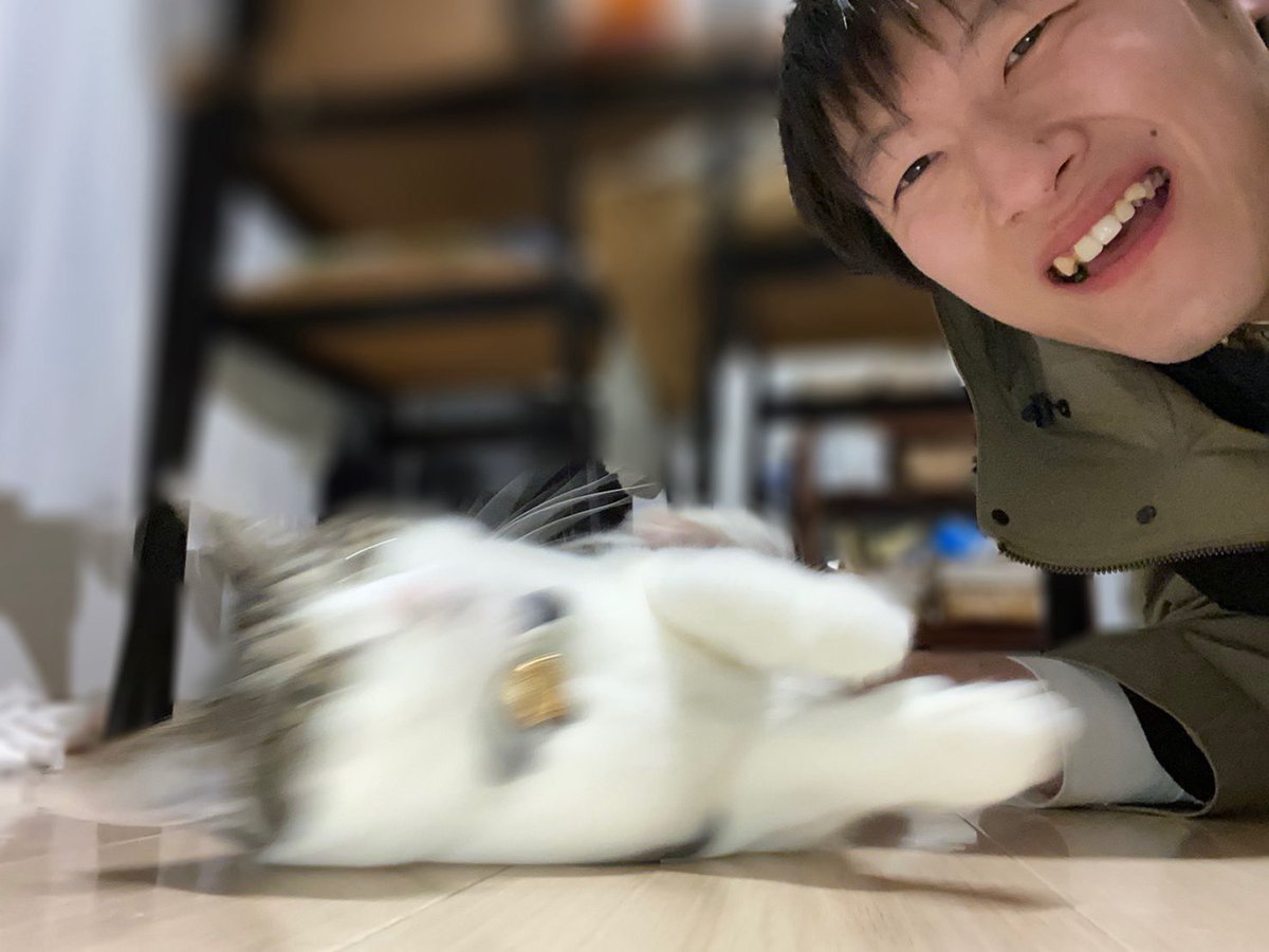 mai15_neco's tweet photo. #むらくもパーソンズ 裏話🗣💭

あのシーンで見せてた写真たち一覧。
稽古中は毎回いろんなラインナップで
我が家の猫のリアル残像写真を縁さんや響子に披露していました。

残像さえも可愛くない？

#カタリナアートレストラン https://t.co/S5GaGaPJOG