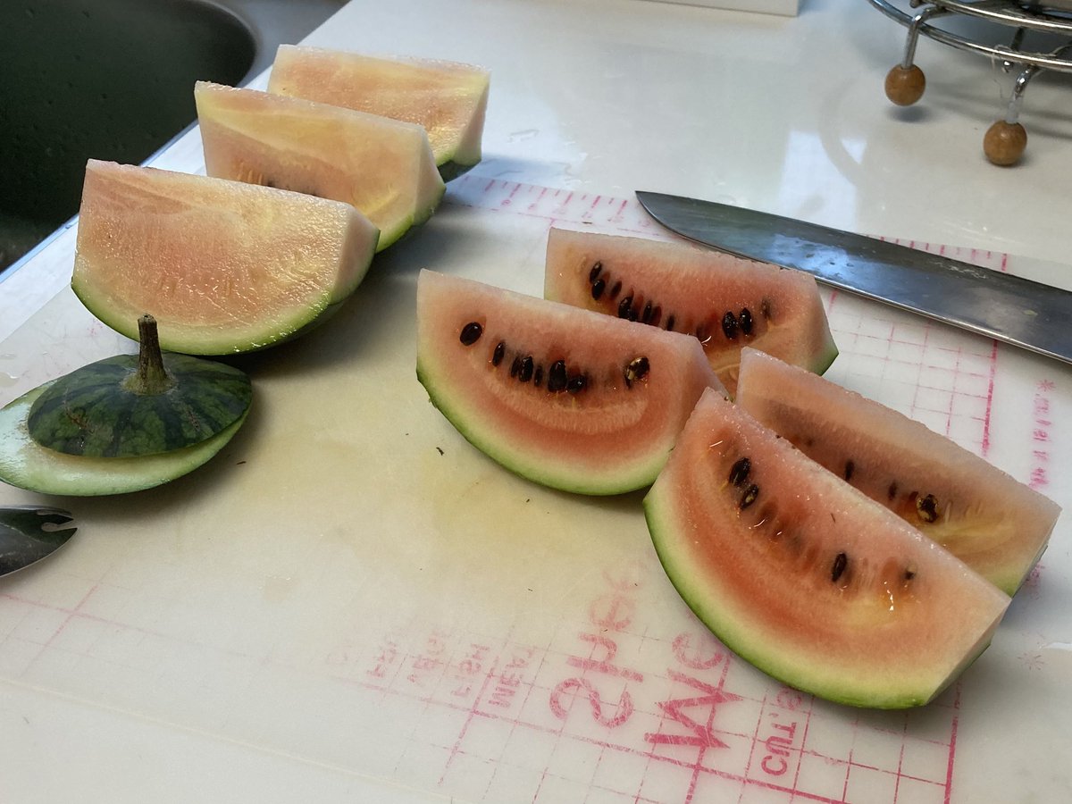Pincurchin_trip's tweet photo. @putnon811 半分だけギリ食べられる味になってました🍉 https://t.co/JvQHCrBzg7