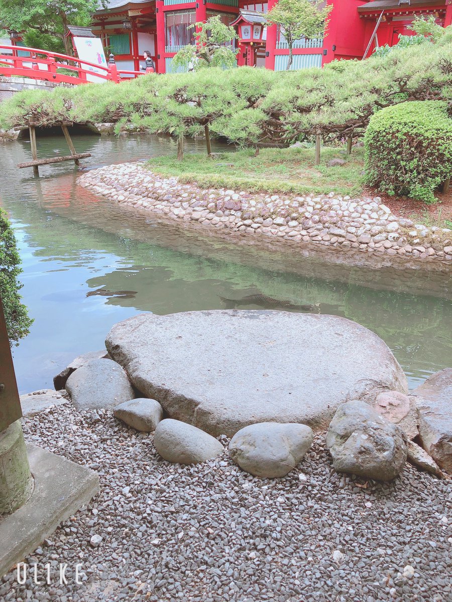 yykill_'s tweet photo. 祐徳神社いてきた、鯉バカデカかった https://t.co/zpvZYtkx3l