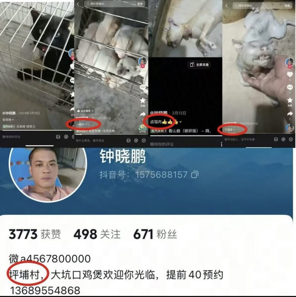 LiamHiedlerX's tweet photo. 🚨 EXPOSING THE TRUTH: An entire town (#Jieyang, #Guangdong) has been confirmed to participate in the brutal dog &amp; cat meat trade. The man in the picture is the father of one of the killers of #WangWang. #China #BoycottChina #BoycottJieyang #StopAnimalCruelty #JusticeForWangWang https://t.co/ZzwSLK0aFu