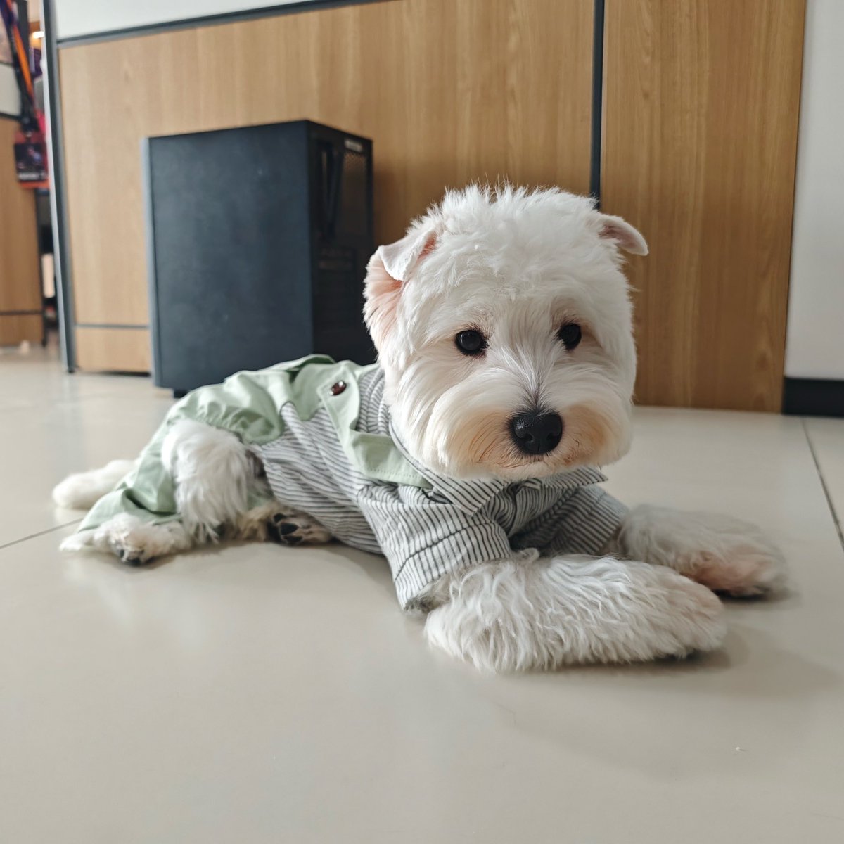 SUZHOU LNG Esports tweet media