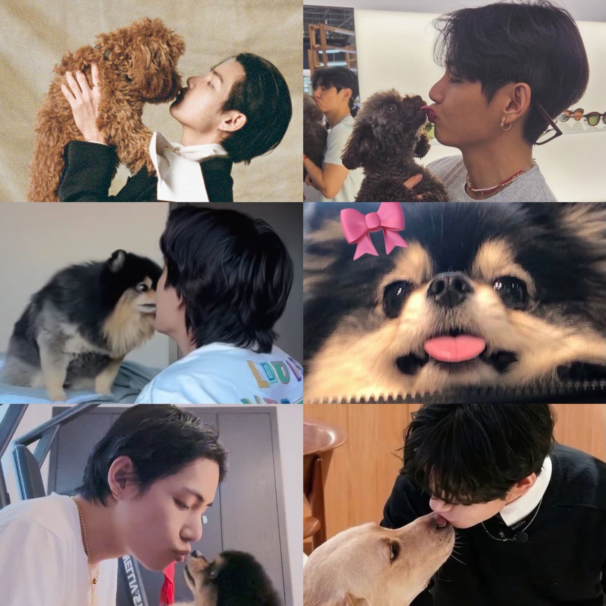 btsdaily77's tweet photo. No one loves dogs quite like Taehyung, especially his beloved Yeontan. 🥺🐶 https://t.co/zrIK9L0zfW