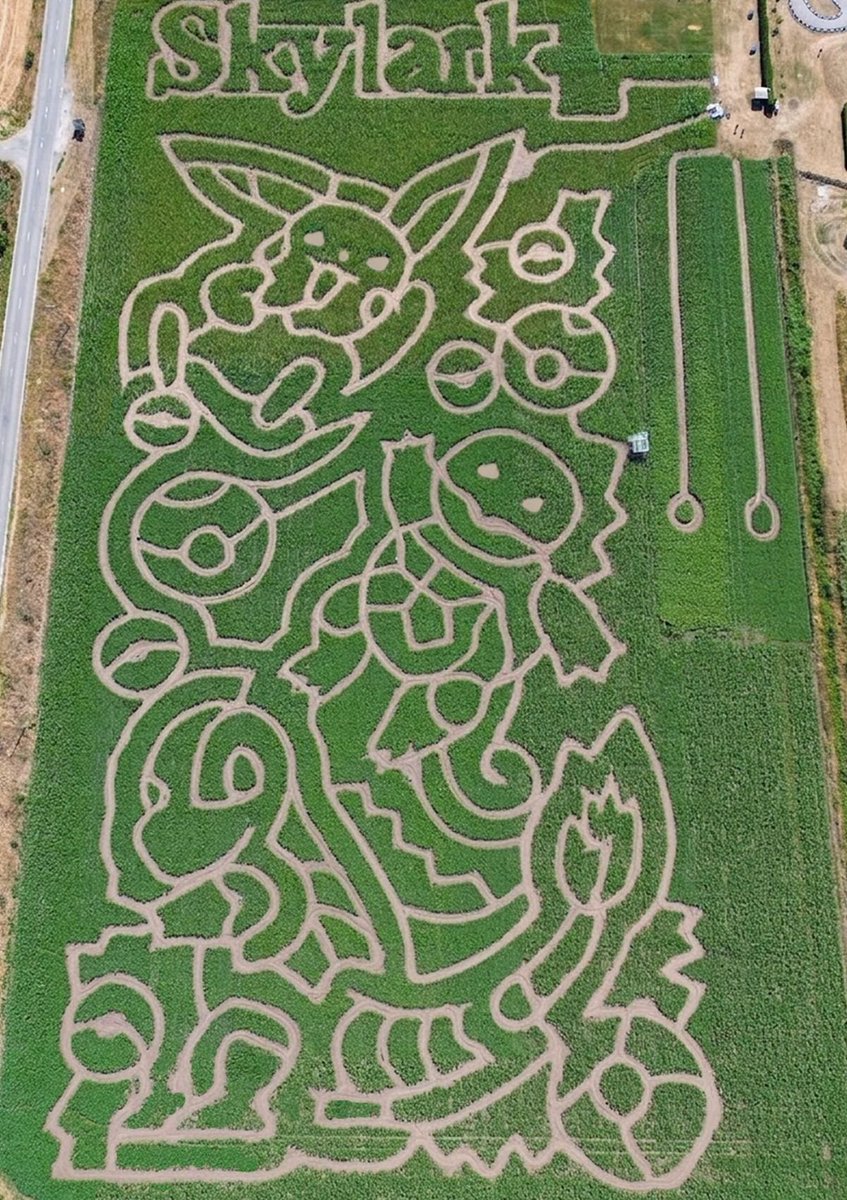 Light_88_'s tweet photo. 🚨 A massive 13 acre Pokémon maze has opened in the UK to celebrate the franchise's 30th anniversary! 🇬🇧⚡

Fun fact: the maze covers over 52,000 m², about the size of 10 football pitches, and features giant designs of Pikachu and other iconic Pokémon.

Would you give it a try? 👀