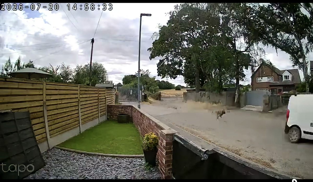 Perky_43's tweet photo. 🚨 CCTV RELEASED AFTER DOGS DUMPED FROM VEHICLE IN WEST YORKSHIRE VILLAGE OF ALTOFTS.

This took place today in the village of #altofts, #normanton, City of #wakefield WF6.

CCTV footage shows the two distressed dogs running after the vehicle as it sped away - a white Citroen van registration PN65 XUU (untaxed and with no MOT). 

One dog has been caught but the other is still missing and at serious risk of coming to harm. 

If you have any information, please contact police. Information can also be passed anonymously to Crimestoppers.

No animal should ever have to experience that kind of fear or betrayal.

Police need the community’s help to identify those responsible.

🚨 Please share

Video in link. 

https://t.co/4Gp0pfnoHv