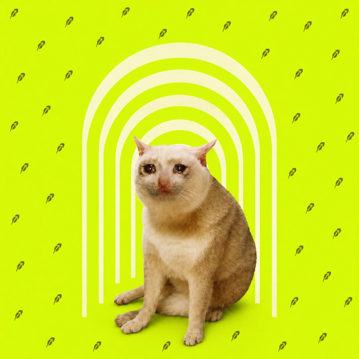 Arena Cat tweet media