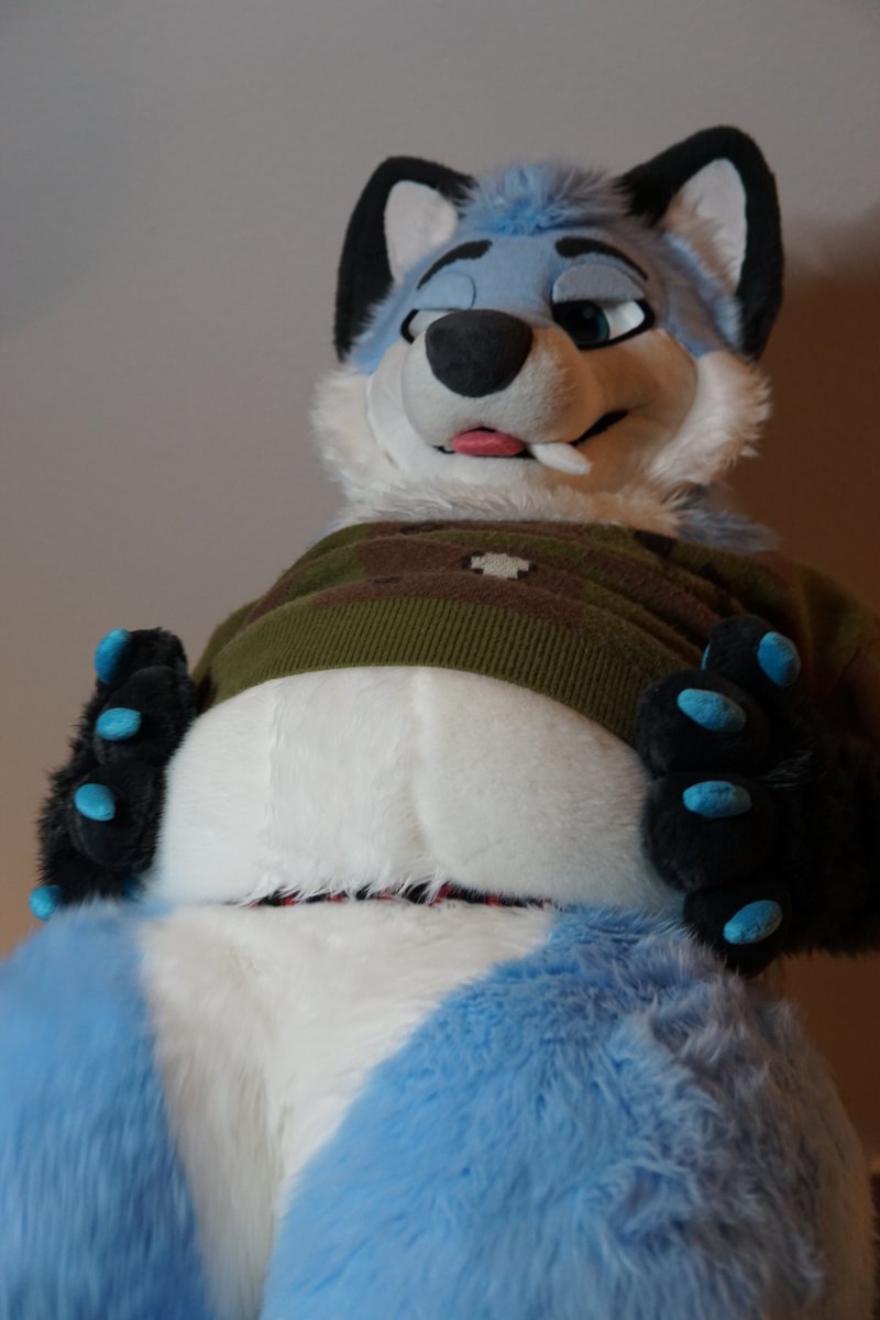ThatAeroFox's tweet photo. It's #TummyTuesday, you should start running before I get ya https://t.co/QxGYwPsCYk