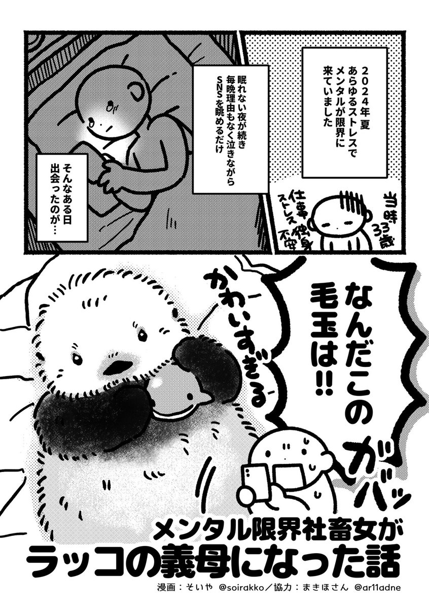 soirakko's tweet photo. メンタル限界社畜女がラッコの義母になった話🦦(0/3) https://t.co/Jieb9fByir