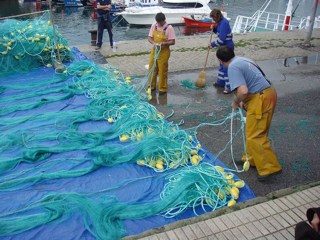 IPesqueras's tweet photo. #PPC | Oceana insta a la Comisión a aprovechar la Ley de los Océanos #OceanAct para fijar la salud oceánica como un objetivo en todas las políticas de la UE.  

https://t.co/qnBUTF29No  

@OceanaEurope https://t.co/g8NZlOVaIC