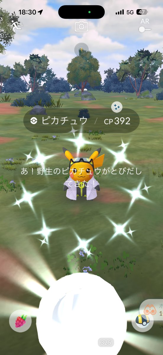 ORONAMIN_A's tweet photo. ピカチュウ色違いGETだぜ！
#ポケモンGO https://t.co/Jp5WqpO9iq