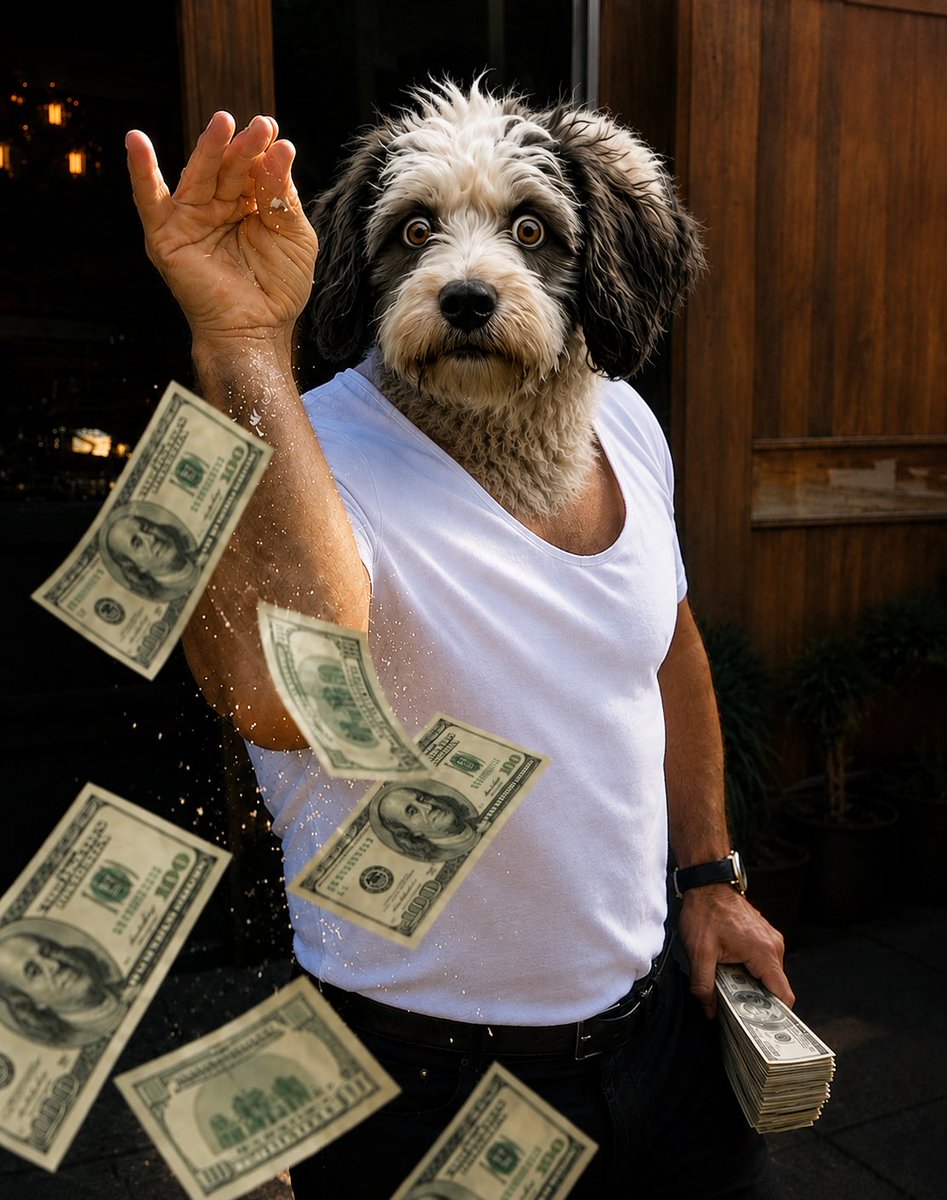 thenftjosh's tweet photo. Make sure you follow @dogonwire 

Infinite meme content loading 😂 https://t.co/gaQwL7Zn5k