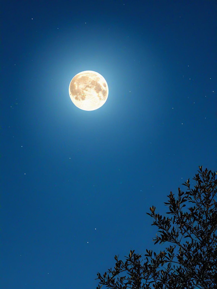 iikor53823233's tweet photo. Mid-Autumn vibes = mooncakes, warm company u0026 starlit skies. Wishing you all a cozy, sweet festive night! https://t.co/ANdn5r30J8