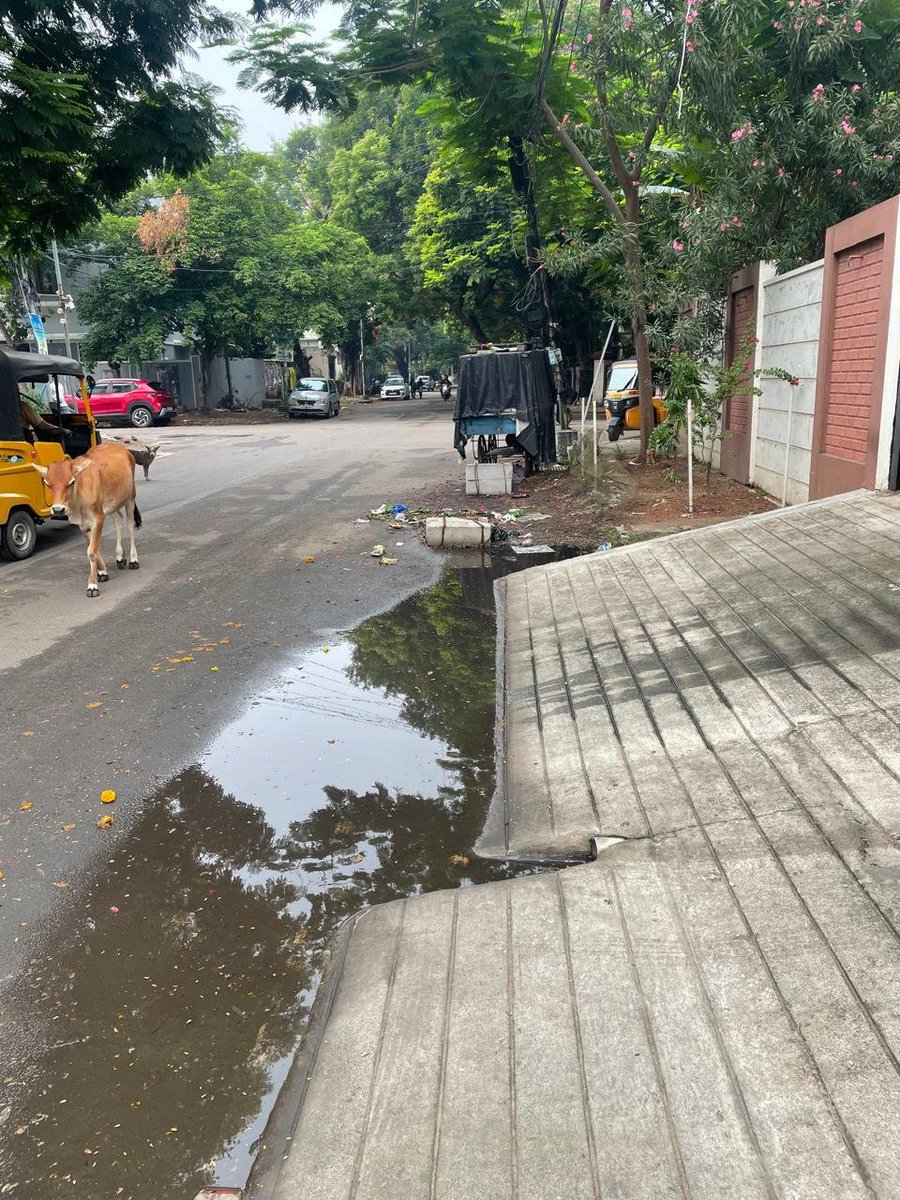mano7867's tweet photo. Kindly remove  rain water stagnation in front of our flat location 1st Main Road East 
Shenoy Nagar Chennai 30

Ward 101
July 21 2026 3:15 PM https://t.co/itzX2MYJUb