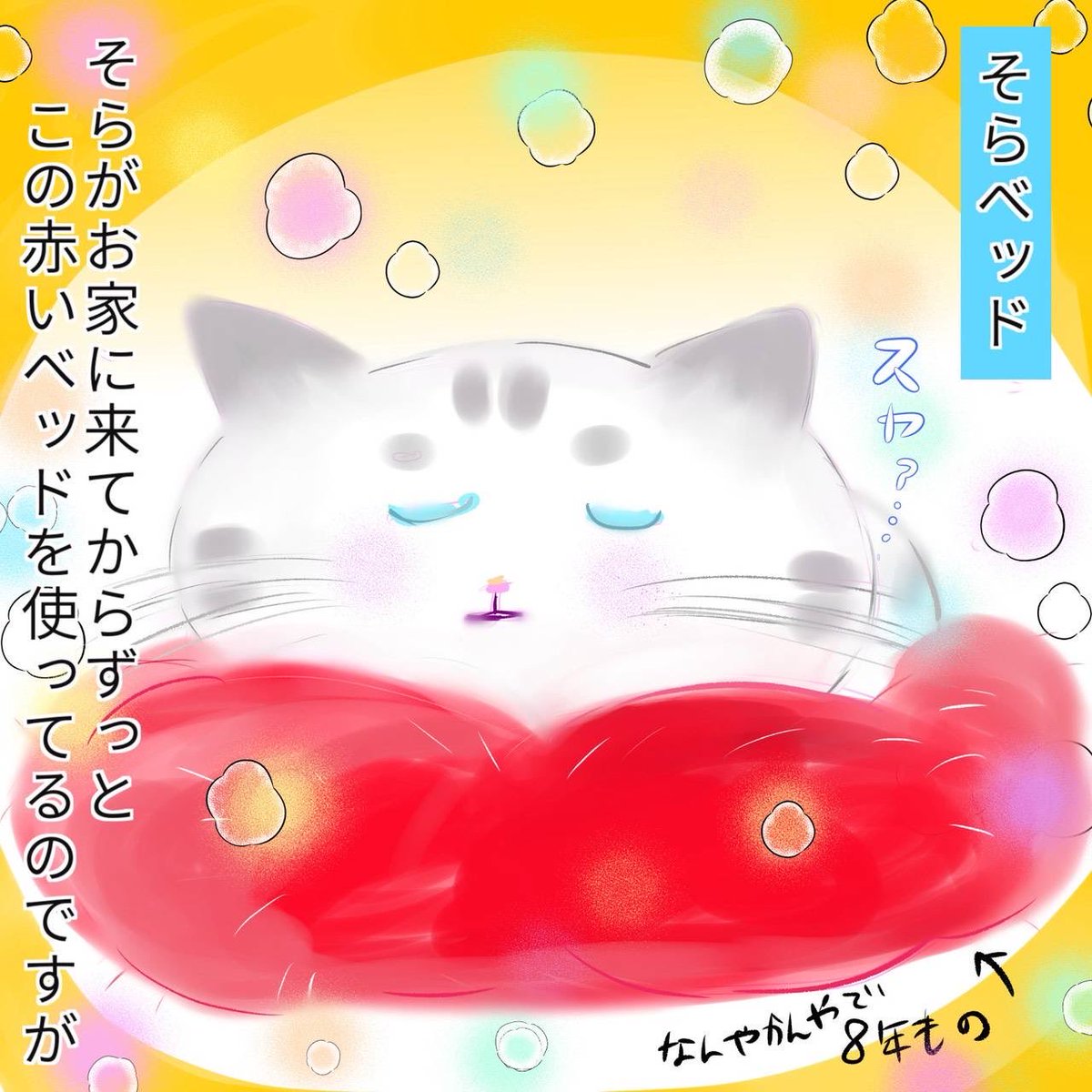 gM6mF6Ye8orX3u4's tweet photo. そらベッド　　#こわがりねこのそら　#ねこ　#ねこかつ　#保護猫　#cat #猫のいる暮らし   #漫画がよめるハッシュタグ　#マンガ　#2026年　#7月　#ねこカフェ　#キャット　#ベッド https://t.co/gneWnvo6Tm