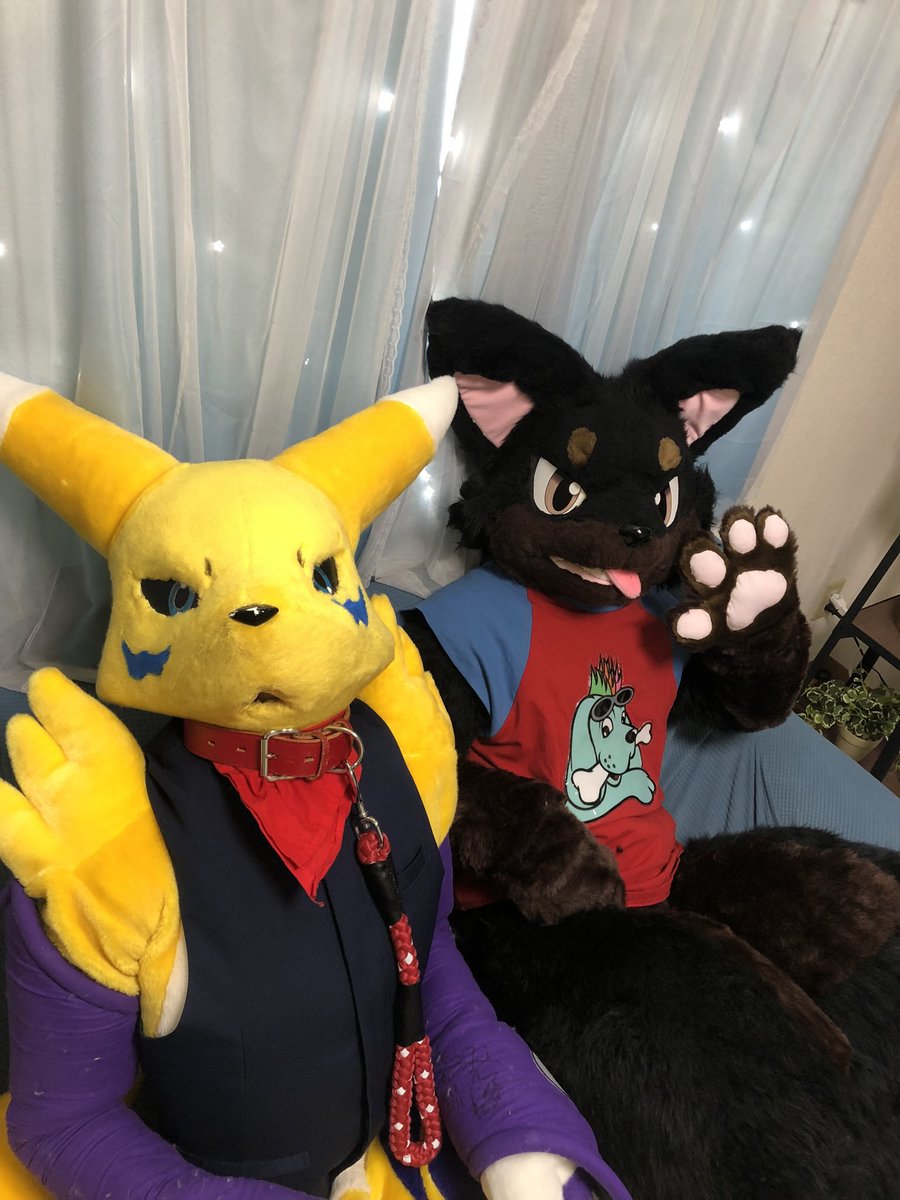 ewqPKOznLR96483's tweet photo. 僕は立派なミニチュアピンシャーに成長したよっ！✨
後は、レナモン君(？)と記念撮影✨
#FursuitEveryday https://t.co/myf3xTo0vF