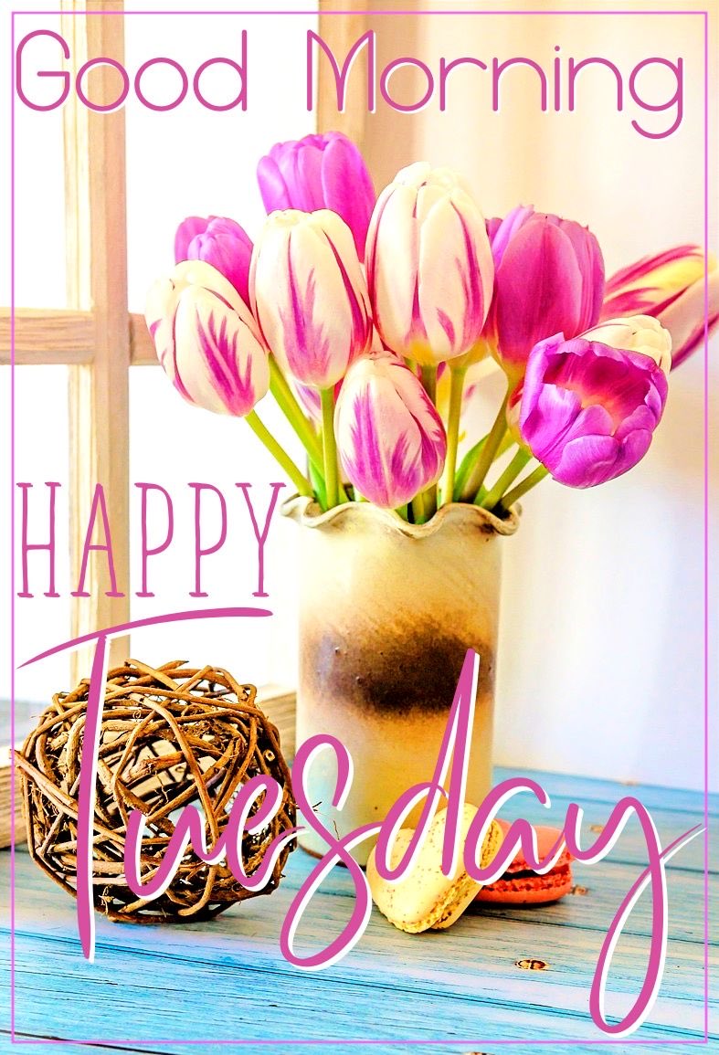 simply_love_fun's tweet photo. @Nik_Nak79 @CocoaBunnie #teamvick https://t.co/LoXgDO0dzu
