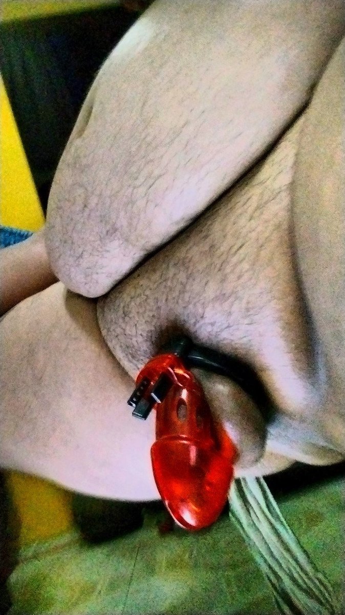 pan_pan_94_OF's tweet photo. Gordito enjaulado 🐷🔥🤤 https://t.co/MoPgVRaySf
