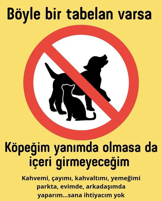 zllktlr's tweet photo. #SokakHayvanlarıSahipsizDeğil  onları yaratan  sahibi var https://t.co/p33Wlp5me7