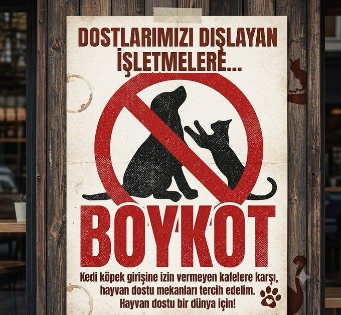 zllktlr's tweet photo. #SokakHayvanlarıSahipsizDeğil  onları yaratan  sahibi var https://t.co/p33Wlp5me7