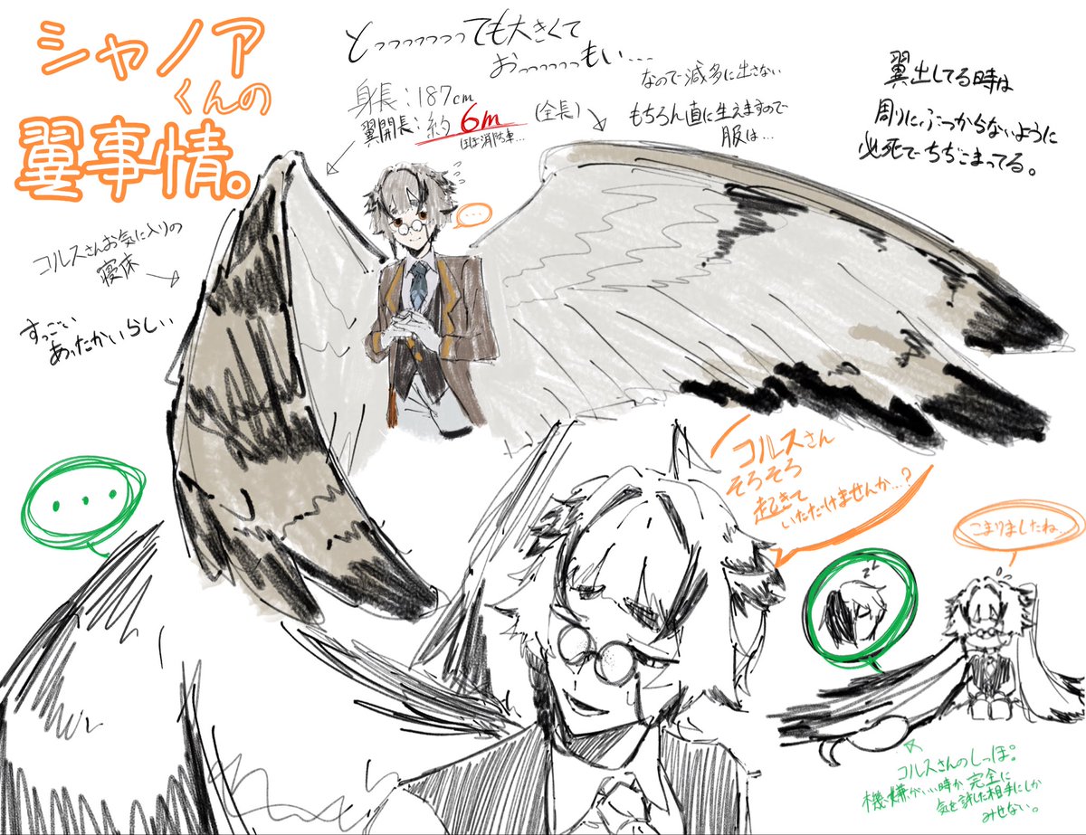 maigo_no_saba's tweet photo. #メガネ祭り見た人もメガネあげちゃえ 
うちのシャノアくん🦉
3枚目メガネないけど可愛いからおまけ🦉🦉🦉 https://t.co/RmE3l93Tj3