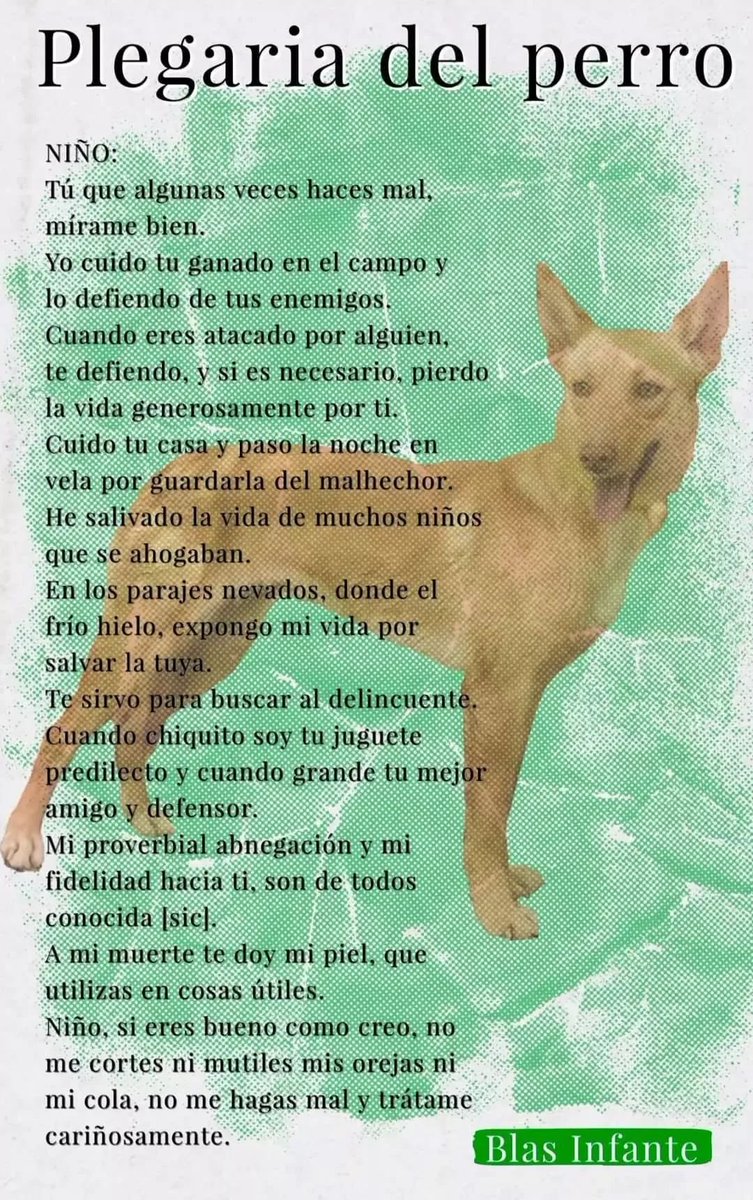 _manuelruiz's tweet photo. Hoy, 
Día Mundial del #Perro, 
conviene conocer la tierna 
Plegaria 
que les hace
#blasInfante
 y recordar
la dimensión animalista 
del notario:

https://t.co/HpIksgCA2Z

#andalucismo https://t.co/CLqZKcLbUI