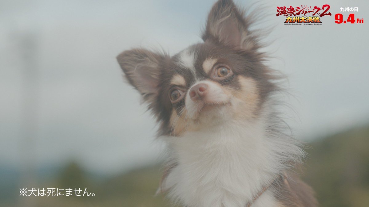 hotspringshark's tweet photo. ※犬は死にません。
#温泉シャーク2 https://t.co/ROAUT7I3aa