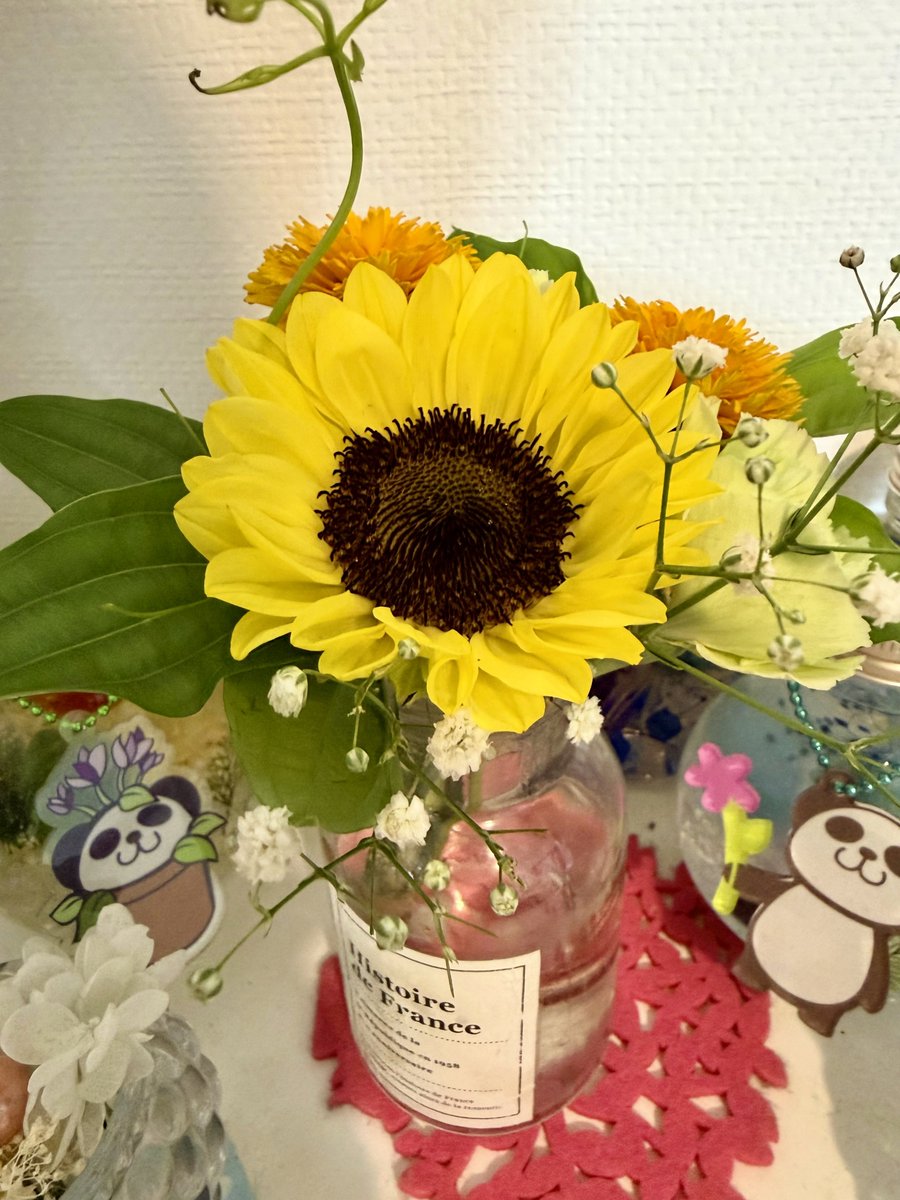 tokyo_aoba tweet picture