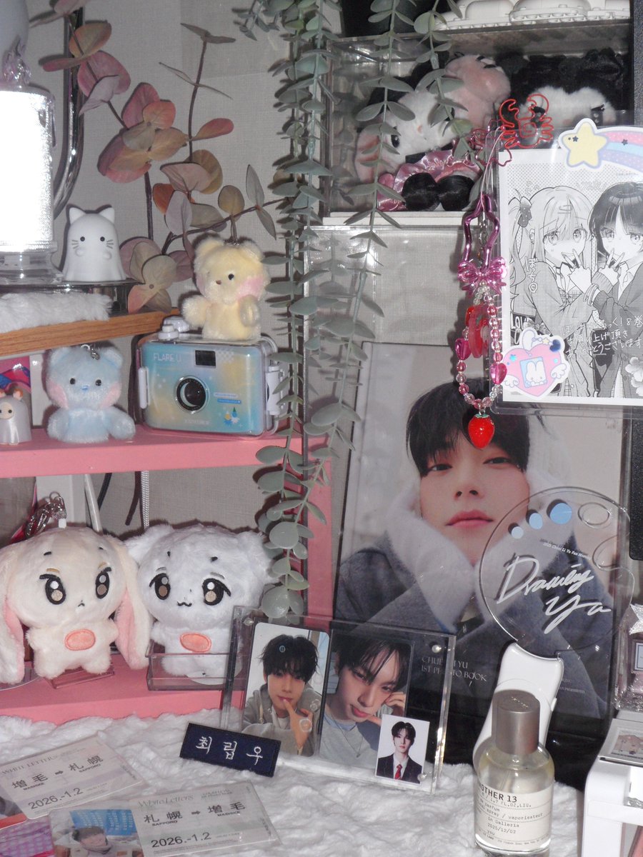 hyun0936's tweet photo. 열심히 꾸민 립우 덕질존입니당 ₍ᐢ..ᐢ₎♡̷̷̷ ༘

#덕질존자랑 #THEKPOP_덕질존 #THEKPOP #빅크 #BIGC #최립우 #FLAREU https://t.co/gOcNXjsGbv