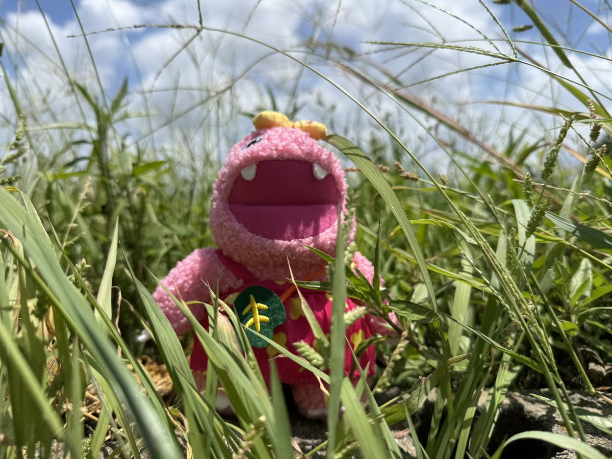 gogo_ganko's tweet photo. めげない　しょげない　泣いちゃだめ https://t.co/TIqIySPLZ0