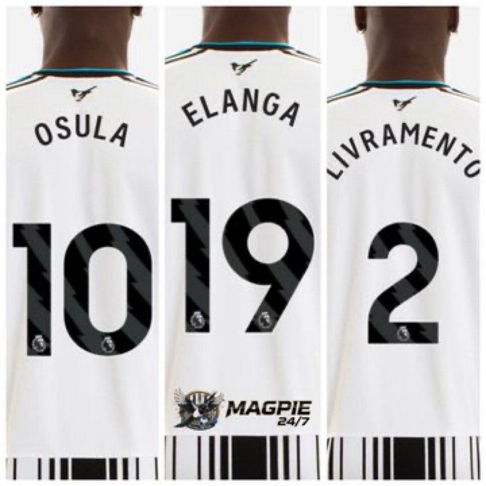 nufc_Magunosuke's tweet photo. ニューカッスル公式サイトから
新背番号を確認しました！
オスラがNo.10🌟
エランガがNo.19💥
リブラメントがNo.2🦵
トゥーレがNo.17💨
ジャオエンがNo.24🙌
となってました！期待👀✨ https://t.co/BCLDHl2KEO