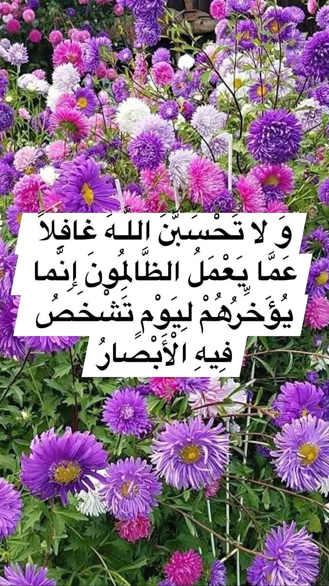 h92f56's tweet photo. بسم الله الرحمن الرحيم
(قَدْ مَكَرَ الَّذِينَ مِنْ قَبْلِهِمْ فَأَتَى اللَّـهُ بُنْيانَهُمْ مِنَ الْقَواعِدِ فَخَرَّ عَلَيْهِمُ السَّقْفُ مِنْ فَوْقِهِمْ وَ أَتاهُمُ الْعَذابُ مِنْ حَيْثُ لا يَشْعُرُونَ)
صدق الله العلي العظيم https://t.co/qByO6B9u3T