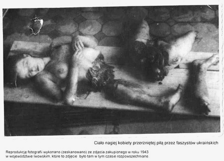 EdiBrzezinski's tweet photo. Na zdjęciu: młoda kobieta z dnia 9 lutego 1943 z nieistniejącej dziś wsi Parośla w gminie Antonówka na Wołyniu. Wtedy zaczęły się pogromy Polaków przez Ukraińców.
Do wsi Parośla wpadła horda  nazistowskich "bohaterów"  UPA - sotnia dowodzona przez Hryhorija Perehijniaka i bestialsko wymordowała około 150 mieszkańców wsi, w tym dzieci.