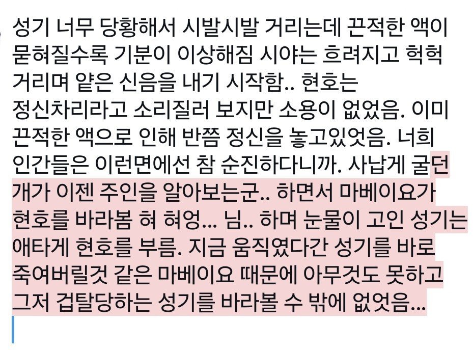 뇽 tweet media