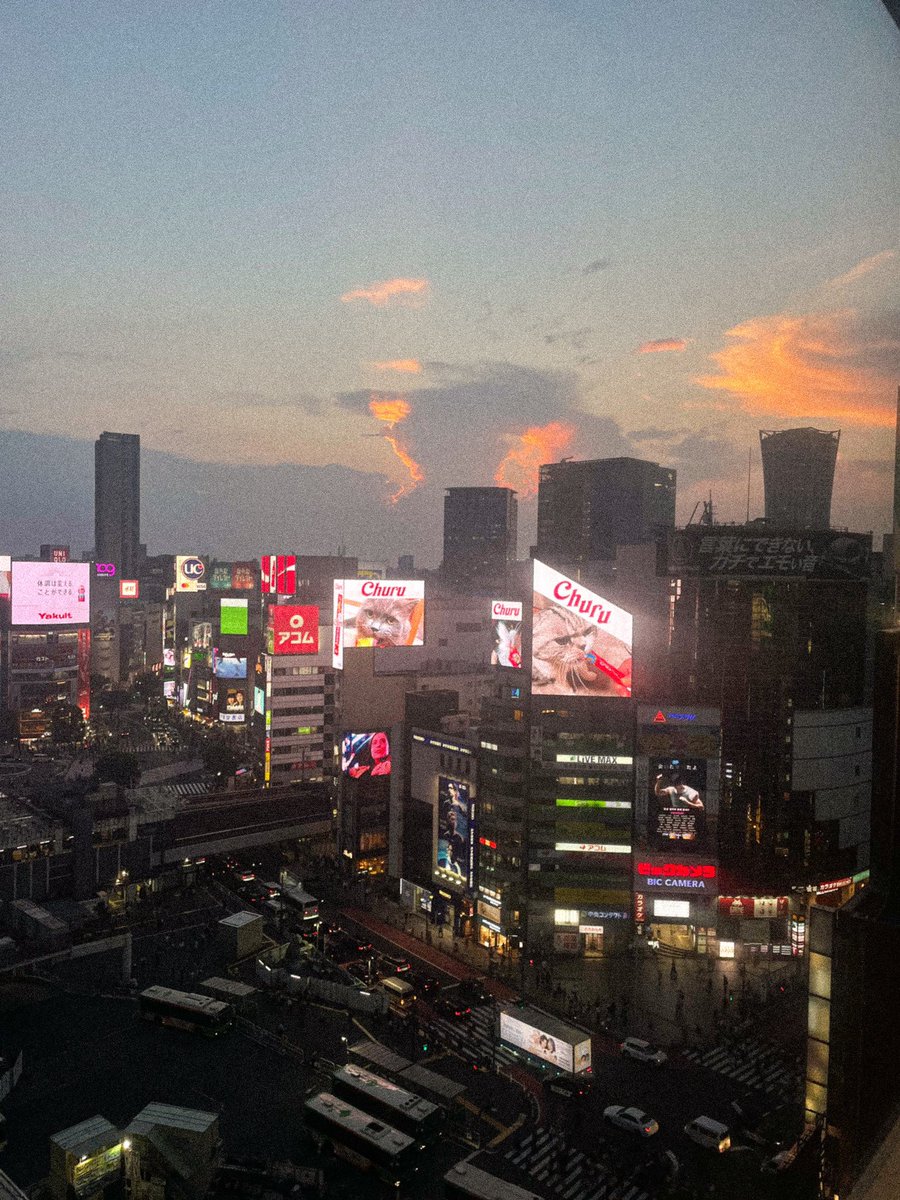 na_nn02's tweet photo. いい時間だった https://t.co/G4biSdE64T